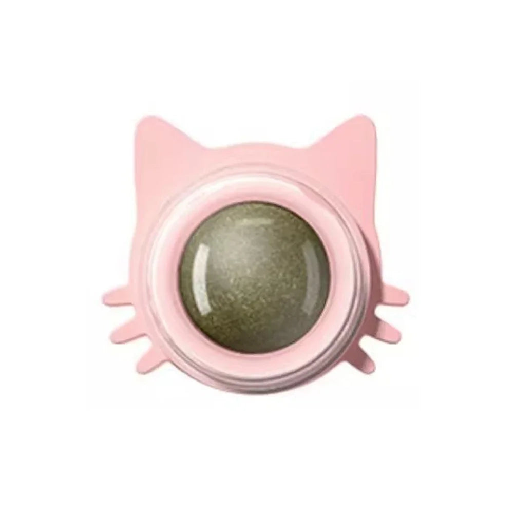 Interactive Catnip Lollipop for Cats – Natural Dental Care Treat on a Stick, Wall-Mountable for Play & Digestive Support.