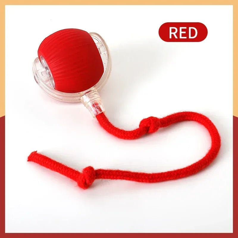 Cat Automatic Rolling Ball.  Tail Rechargeable,  Smart Pet.