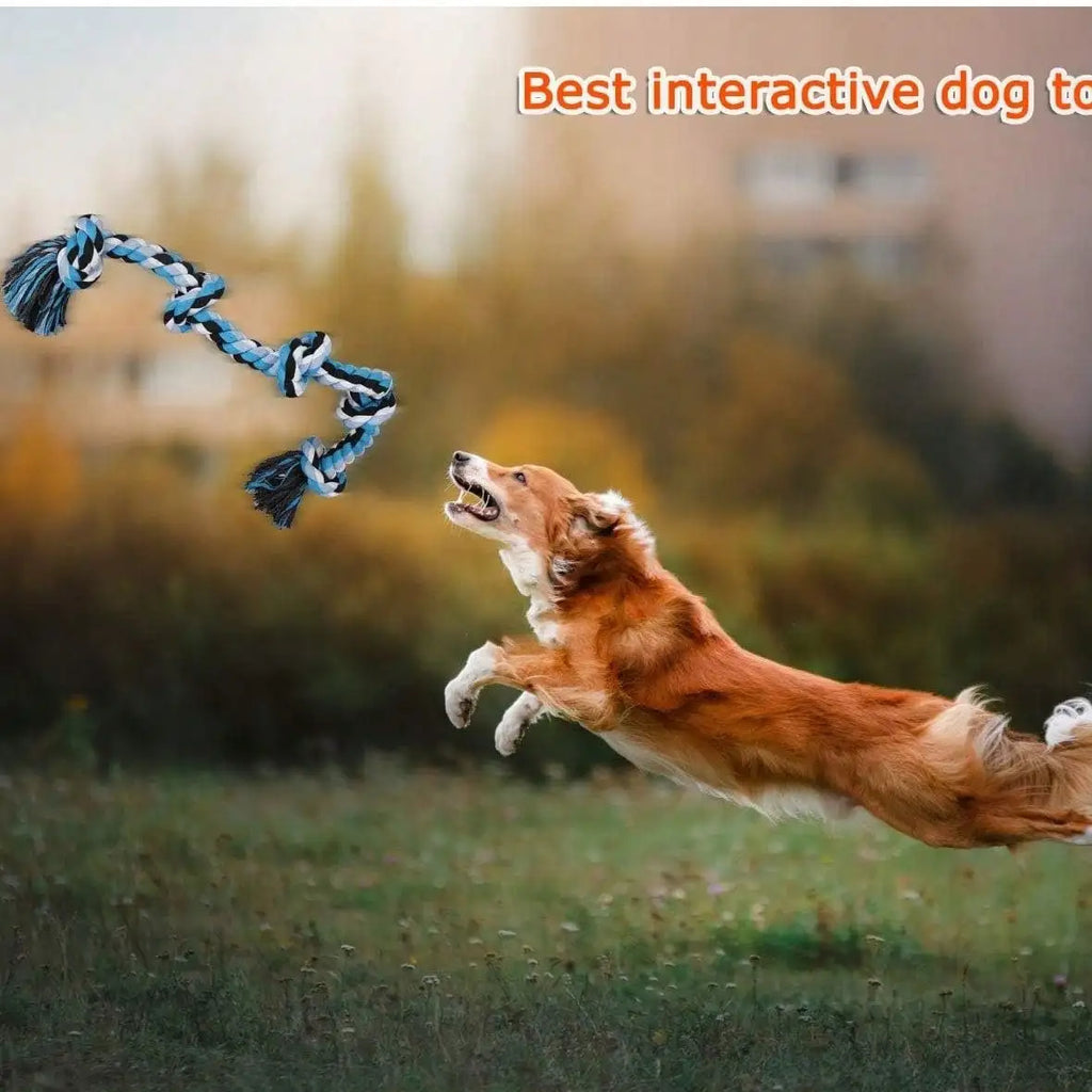 Tough Twisted Rope Toy With 5 Knots for Aggressive Chewers, Interactive Heavy Duty Toys For Medium and Large Dogs.