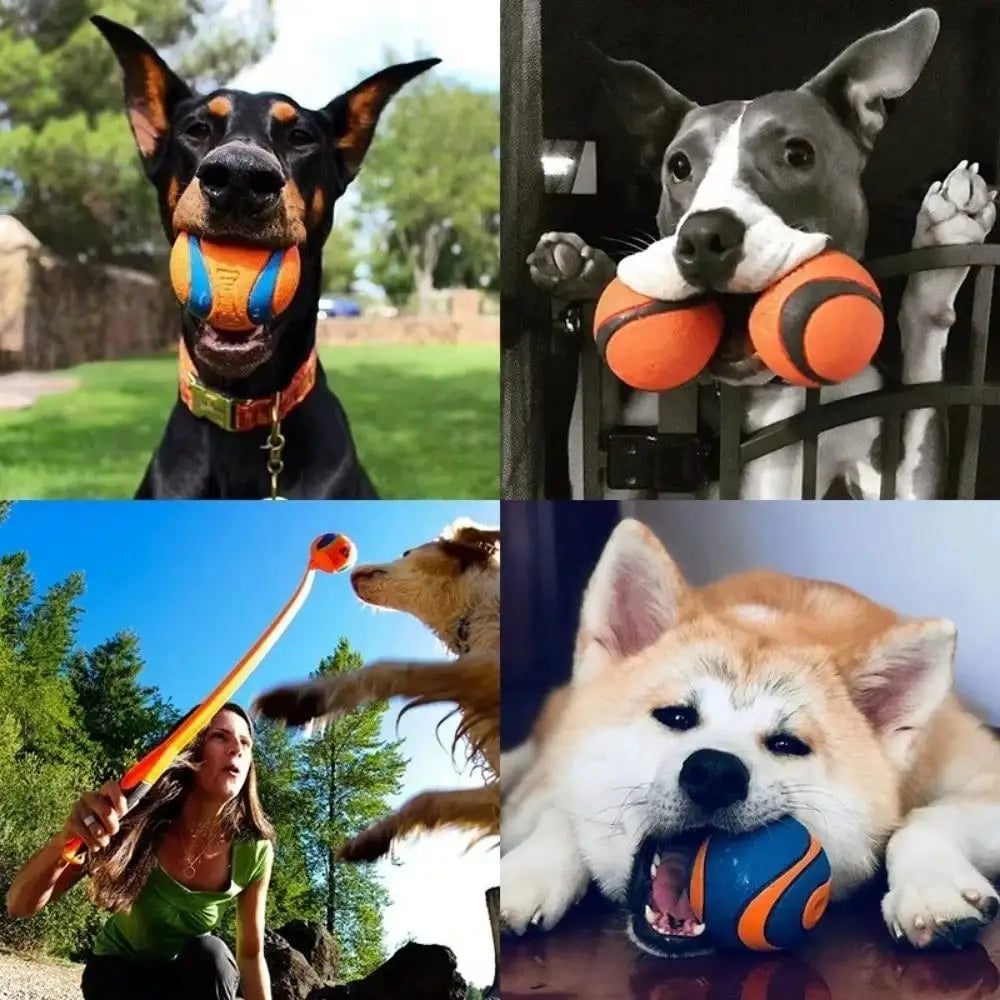 Toy Ball for Puppies & Small, Medium & Large Dogs.
