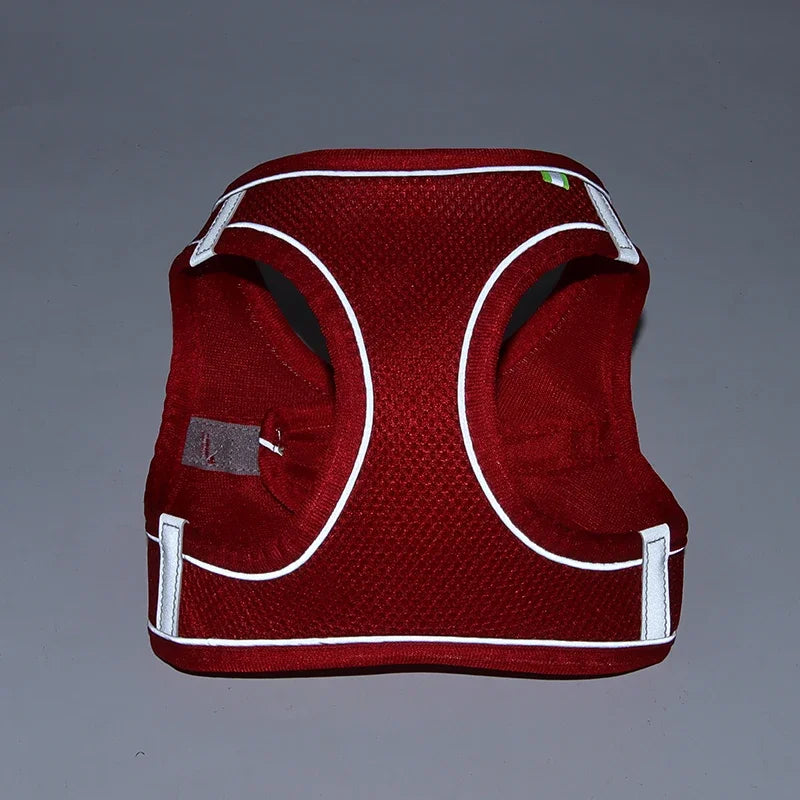 Puppy Collar and Leash Set,  Adjustable for Puppies, Cats and Small Dogs. Comes with Harness Vest.