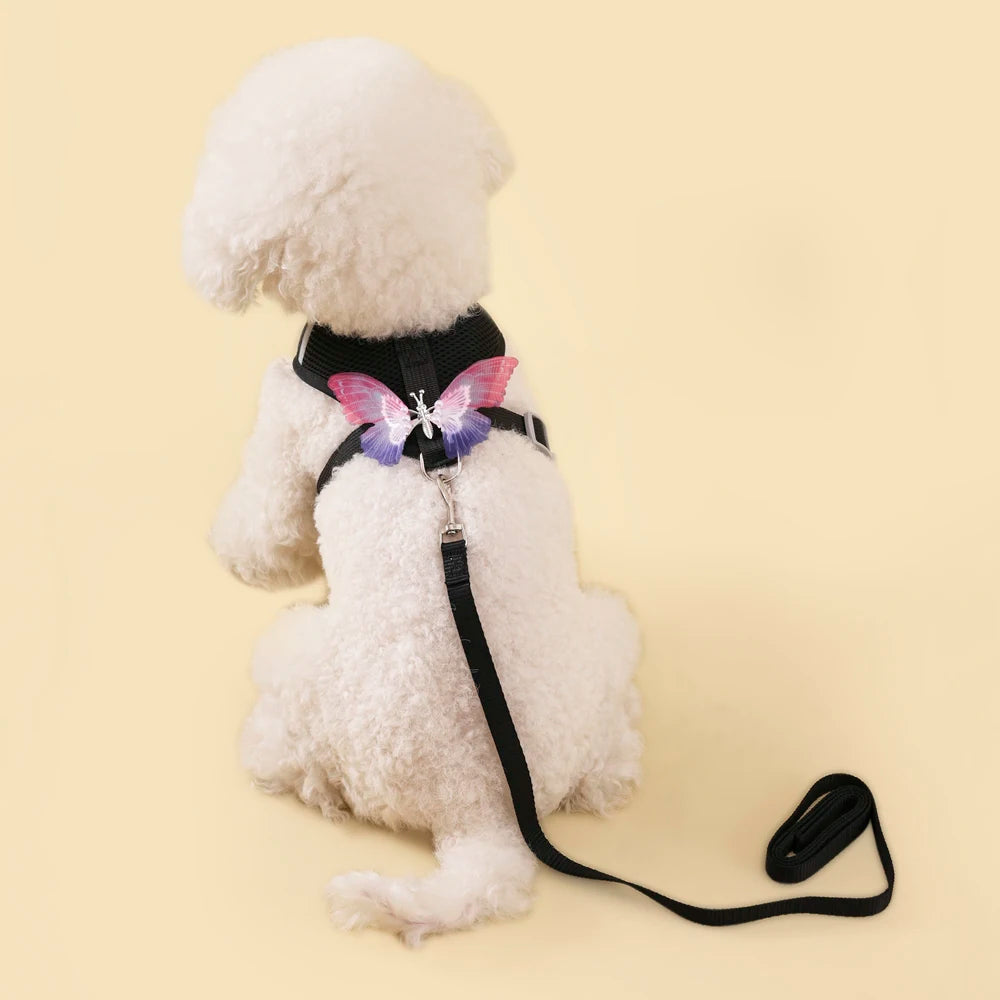 Breathable Cat Harness Set Detachable Butterfly.   Small Dog Harness Vest Set with Leash.