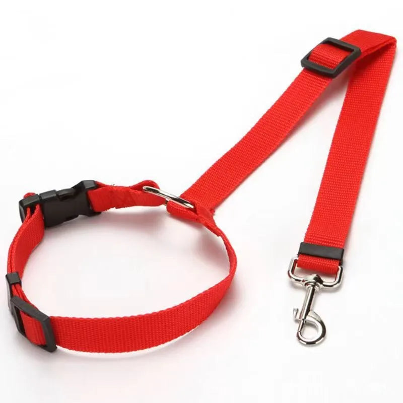 Two-in-one Pet Car Seat Belt and Leash.  Adjustable and Nylon.