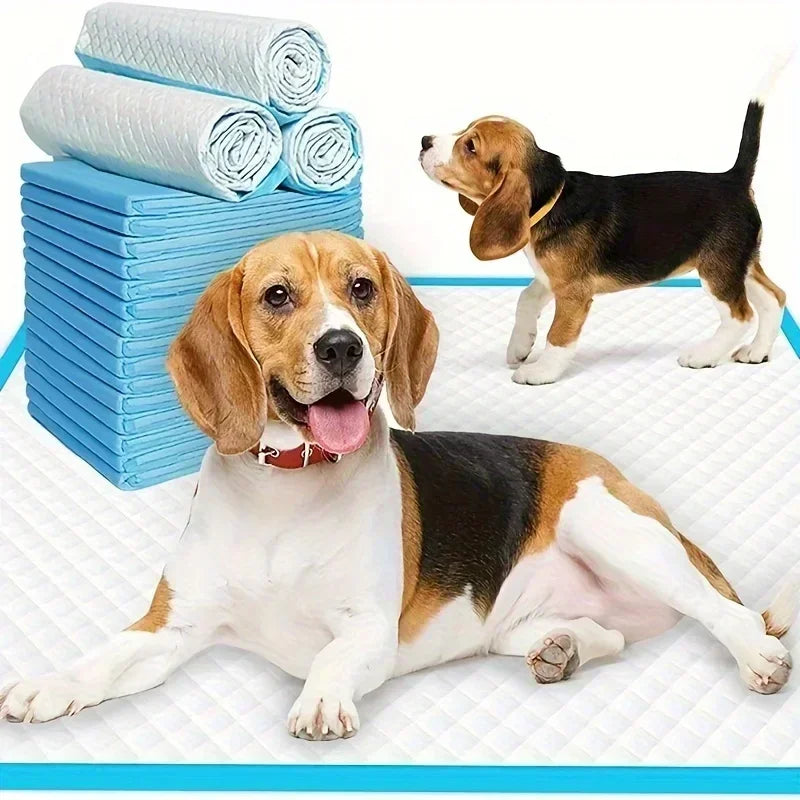 40/50/100/200 pieces Super Absorbent Odor-Control Disposable Dog Diapers & Training Pads.