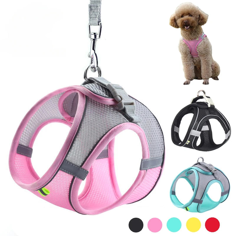 Puppy Collar and Leash Set,  Adjustable for Puppies, Cats and Small Dogs. Comes with Harness Vest.