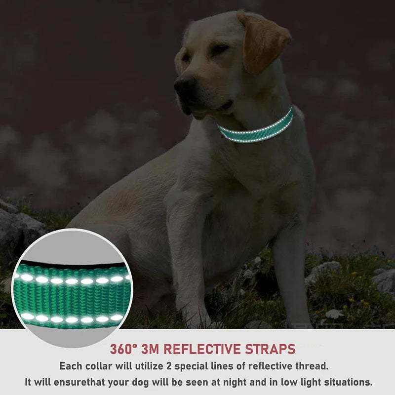 Adjustable Reflective Dog Collar Strap.