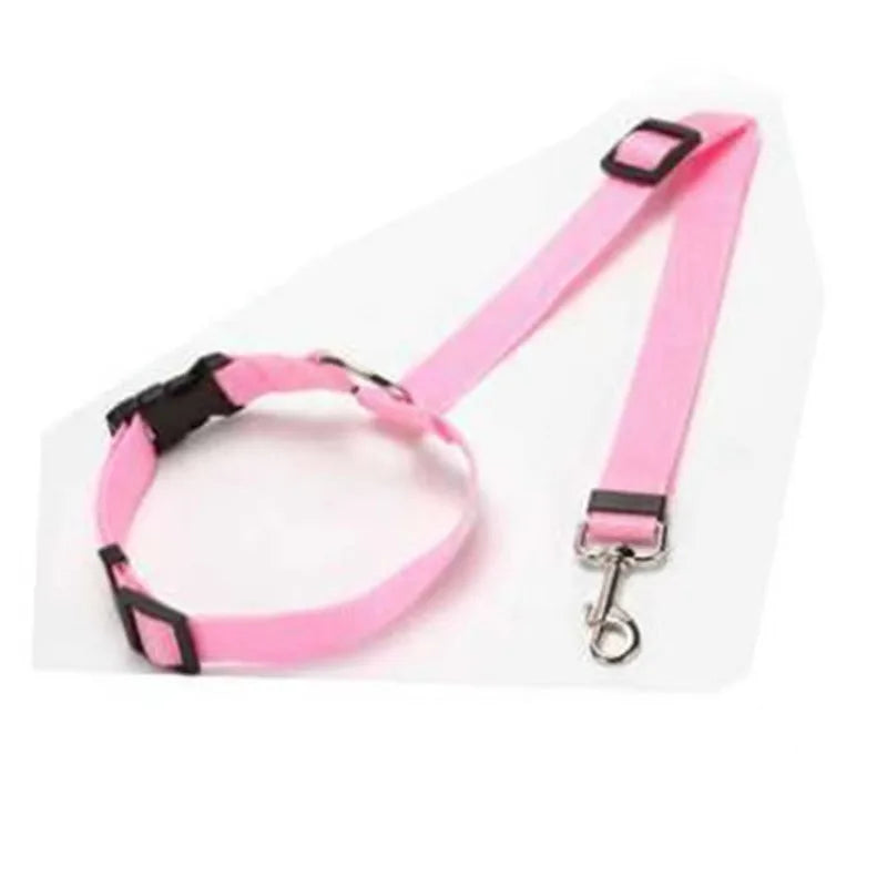 Two-in-one Pet Car Seat Belt and Leash.  Adjustable and Nylon.