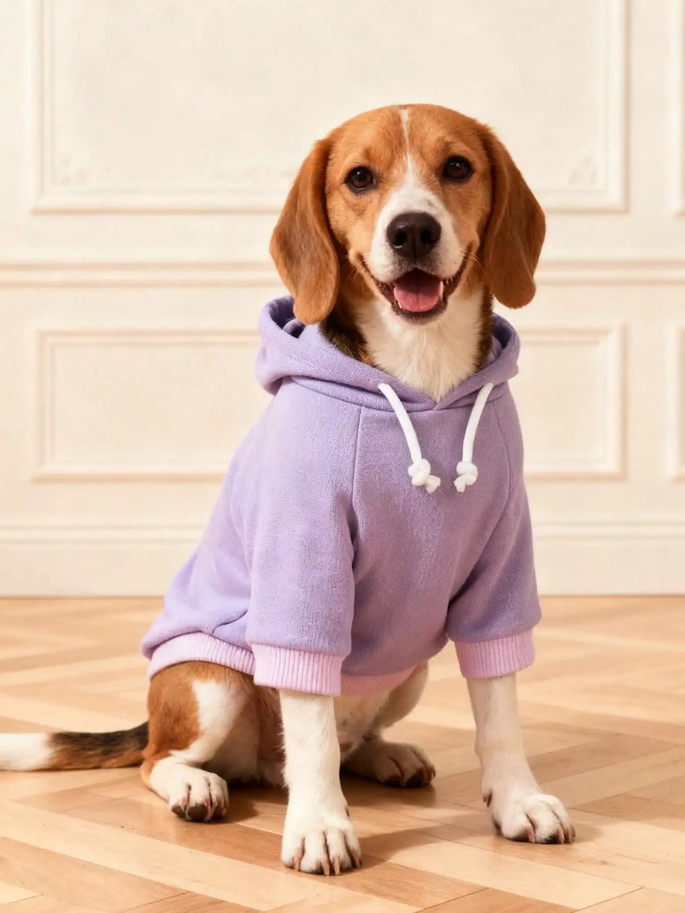 Polyester Warm Basic Hooded Sweatshirt Suitable for Indoor and Outdoor Cats and Dogs.