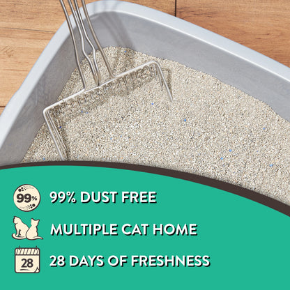 Special Kitty Clay Cat Litter.