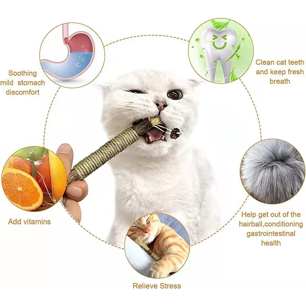 Cat Toys Cleaning Teeth Chew Stick with Catnip.