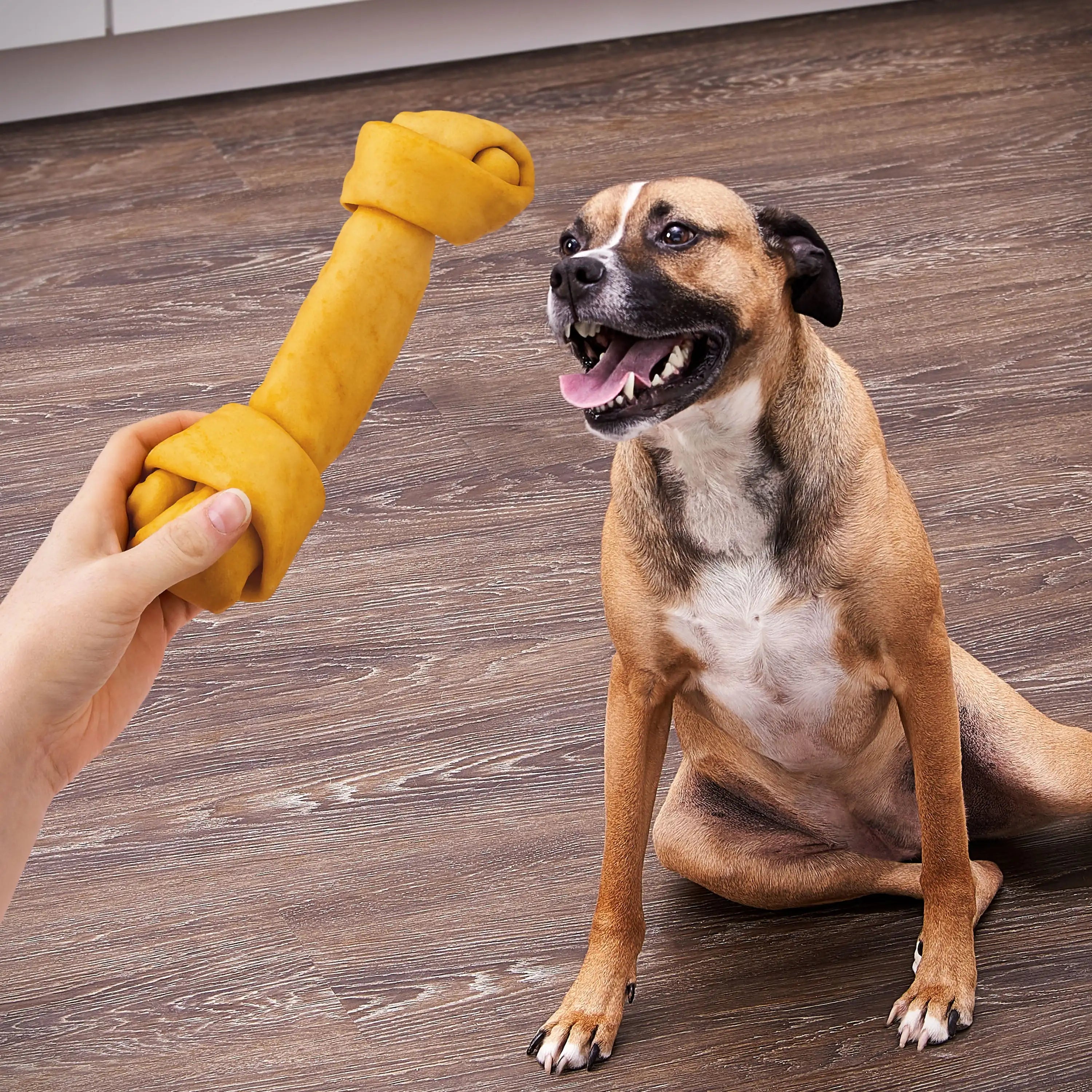 Rawhide 9" Large Knotted Bones Artificial Chicken Flavored Chews for Dogs,
