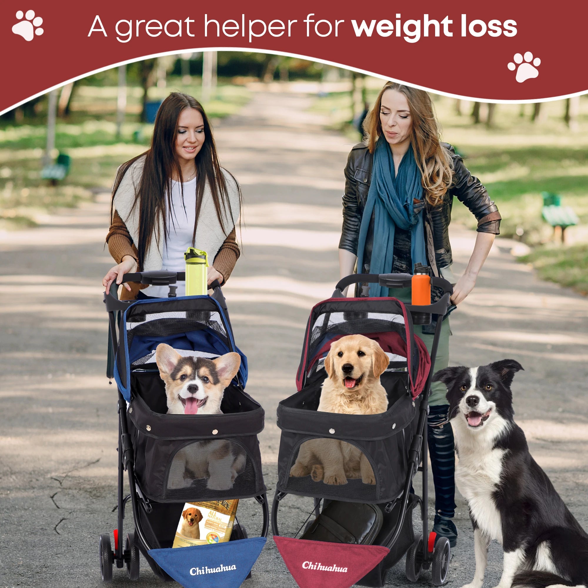 Pet Stroller For Small to Medium Cats and Small Dogs.
