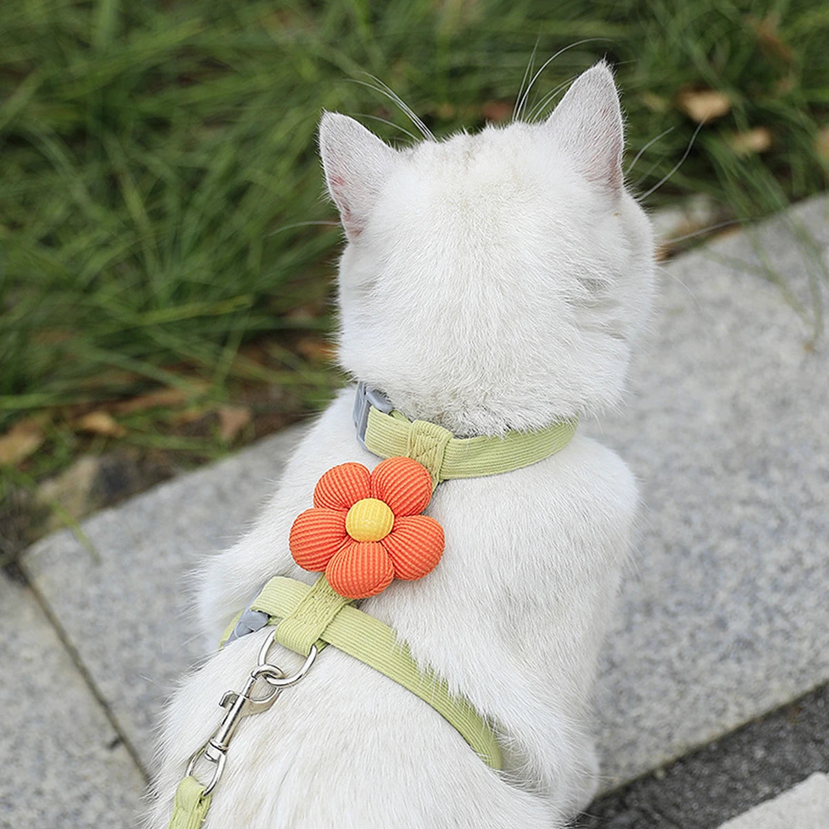 Cat Harness and Leash Set Adjustable, Leash is Breathable. Pet Harness is for Cats and  Small Dogs.