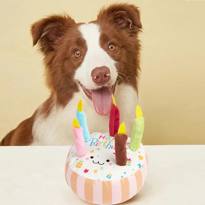 Squeaky Birthday Cake for Dog.
