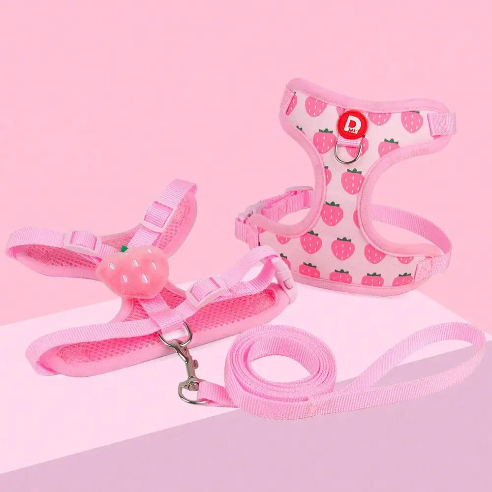Cute Pet Harness And Leash Set For Small Dogs.  Anti-Escape Cat Leash.  Adjustable Cat Vest,
