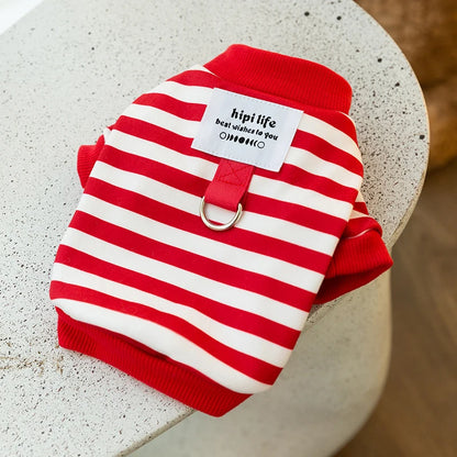 Winter Clothes for Small Dogs & Cats; Sizes XS - XXL.