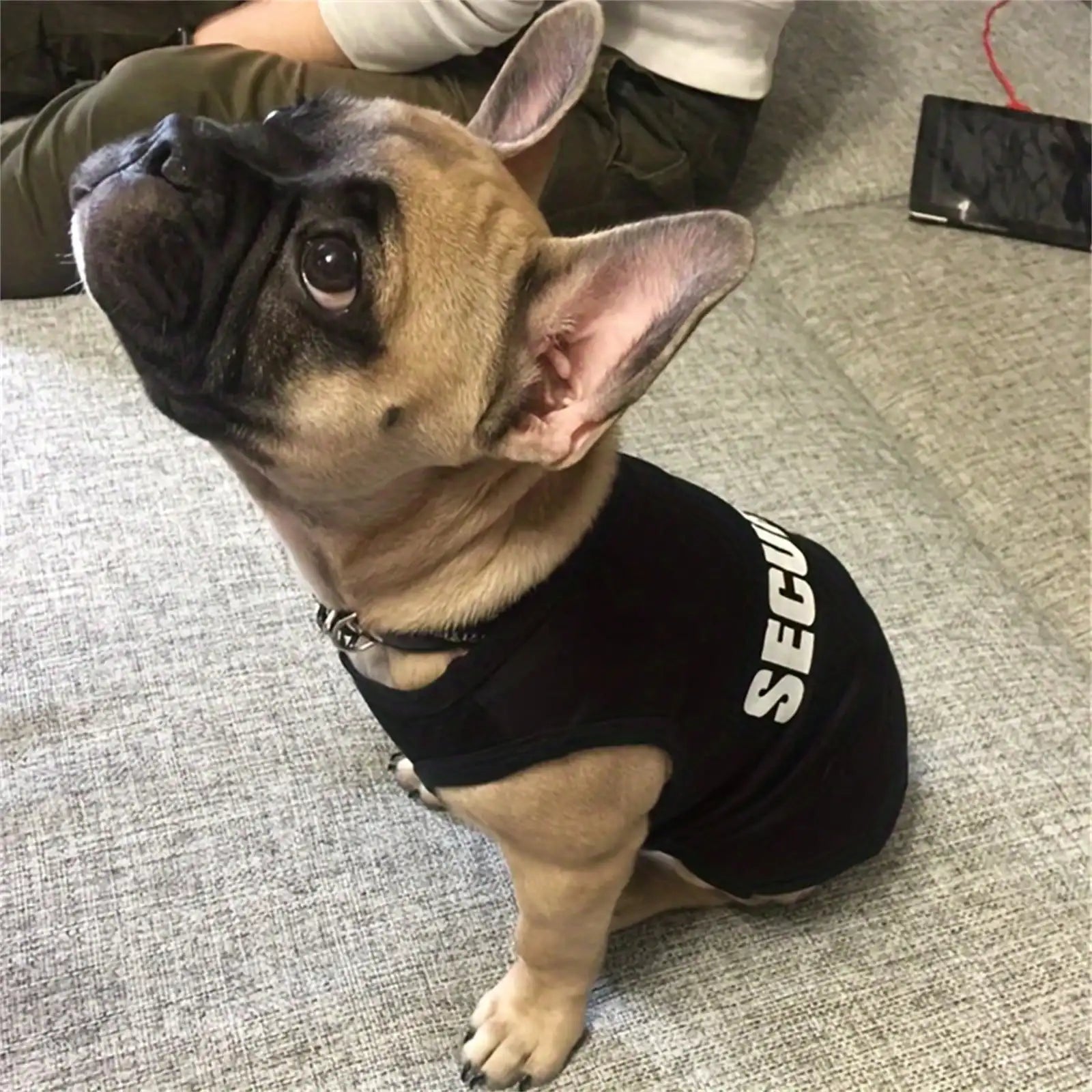 1 Piece of Dog and Cat clothes,  breathable, cute and sleeveless top states SECURITY.