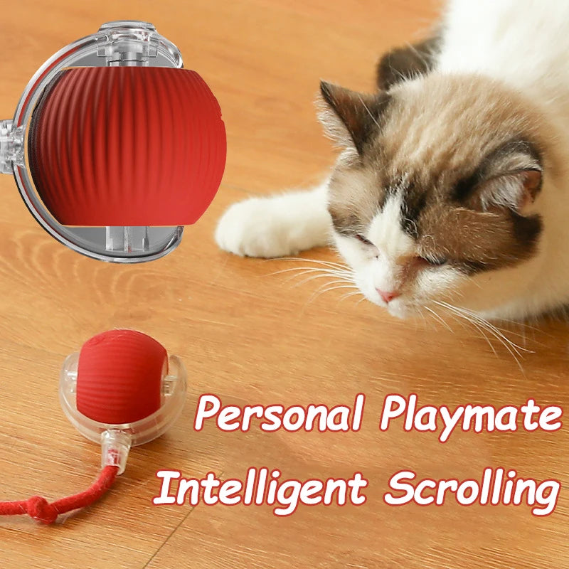 Cat Automatic Rolling Ball.  Tail Rechargeable,  Smart Pet.