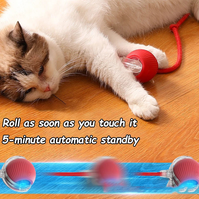 2Pcs Cat Ball Auto Rolling Ball Rechargeable Toy.