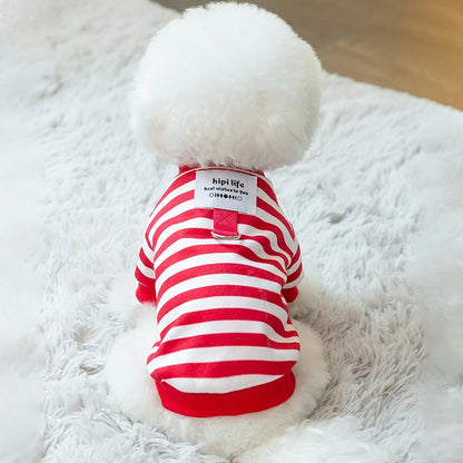 Winter Clothes for Small Dogs & Cats; Sizes XS - XXL.