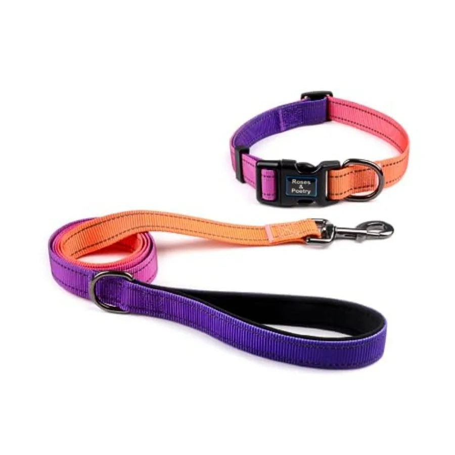 Reflective Dog Collar and Leash Set.                                   Purple Martingale Dog Collar and Leash for Dogs, Adjustable Durable Nylon Pet Collars with