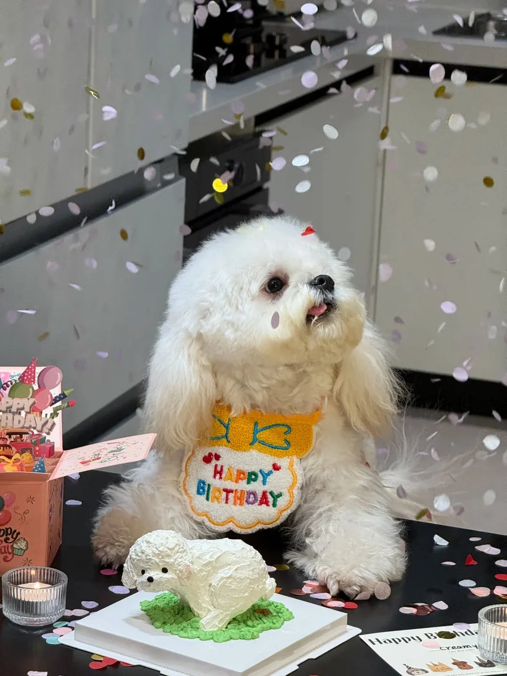 Pet Birthday Outfit for Cats and Dogs are a Birthday Bib and Party Hat.   The Bib is an Adjustable Bandana Scarf for Small Dogs, Puppies and Cats.