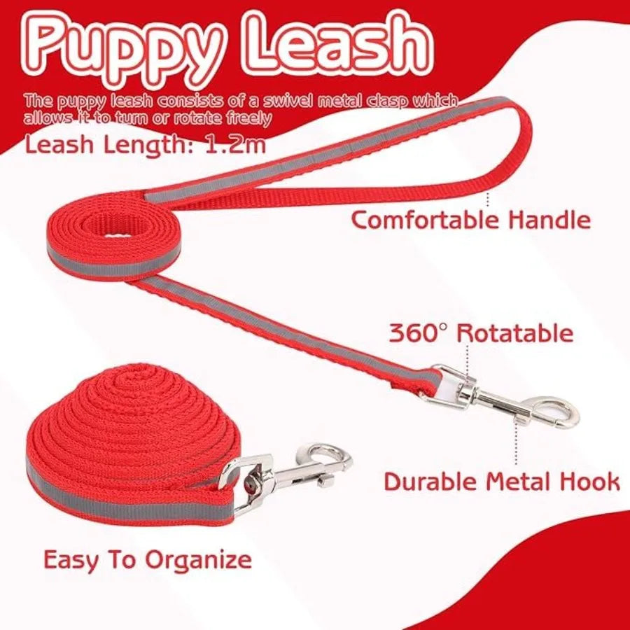 Reflective Collar and Leash Set for Cats, Small Dogs & Puppies.