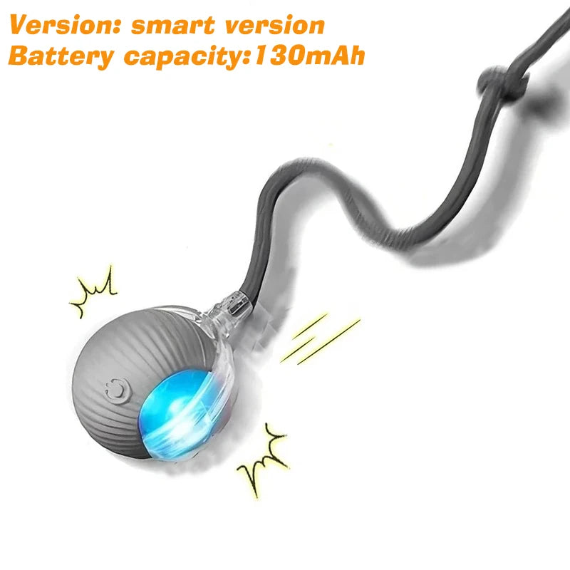 Automatic Rolling Dog Ball Toy.