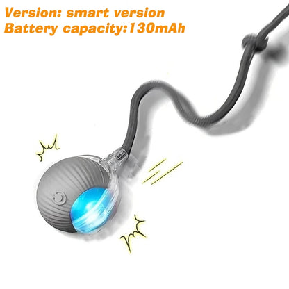 Automatic Rolling Dog Ball Toy.