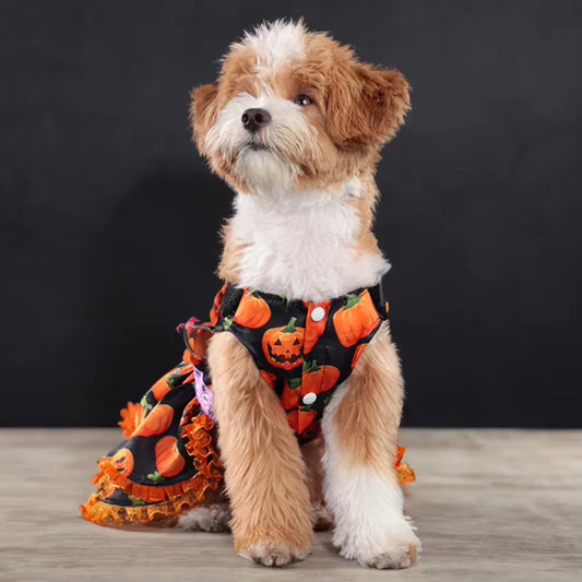 Halloween Dress for Small Dogs; Sizes S - XL.