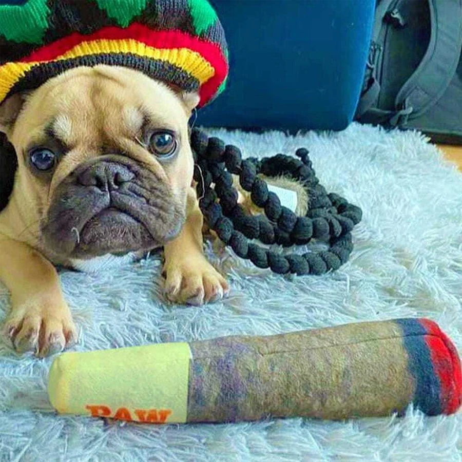 Cigar Design Squeaky Chew Toy For Small Medium Dogs.