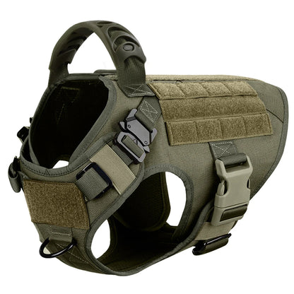 Medium Large Dog Harness And Leash Set.