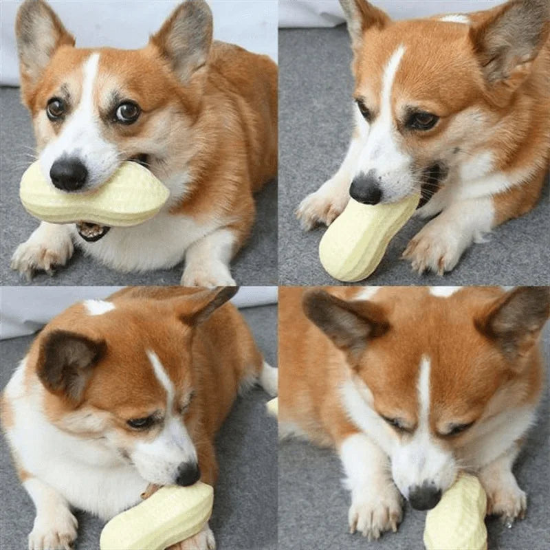 Dog Chew Toy Squeaking Simulation Peanut.
