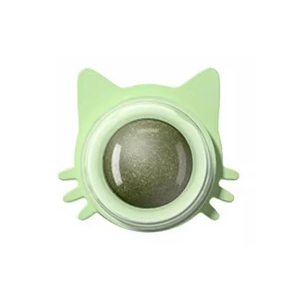 Interactive Catnip Lollipop for Cats – Natural Dental Care Treat on a Stick, Wall-Mountable for Play & Digestive Support.
