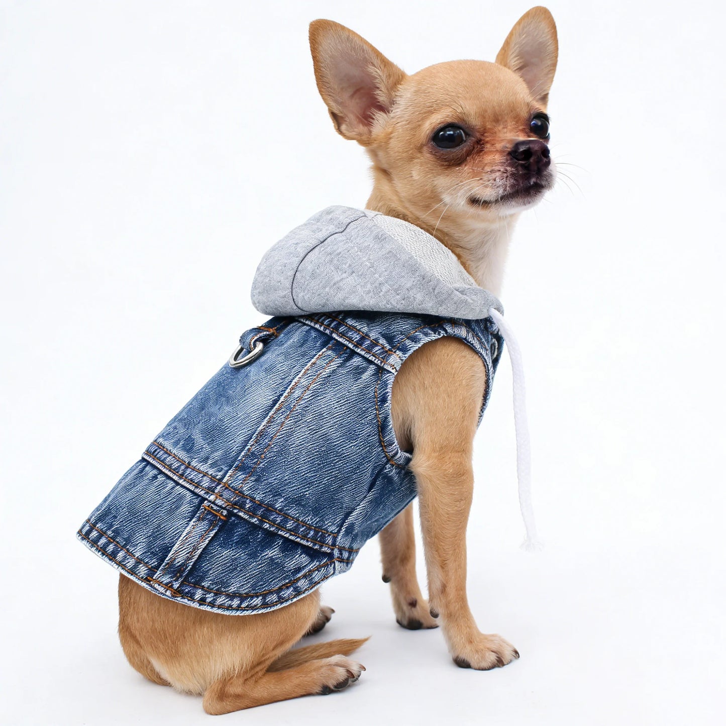 Jeans Hoodie for Small Dogs, Cats & Puppies. Sizes XS - XXL.