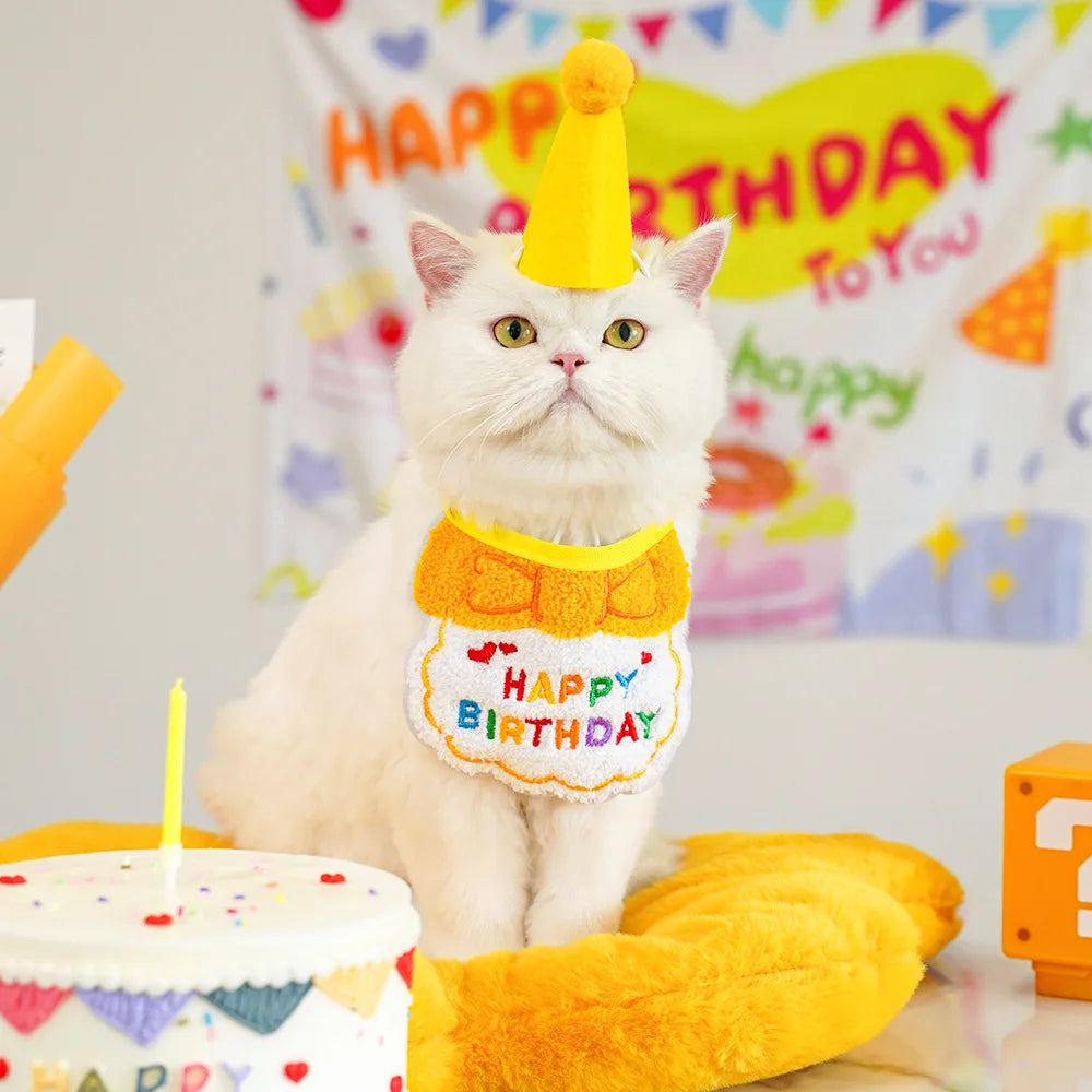 Pet Birthday Hat and Adjustable Scarf Set.  Cat and Dog Birthday Mini Pet Saliva Towels.