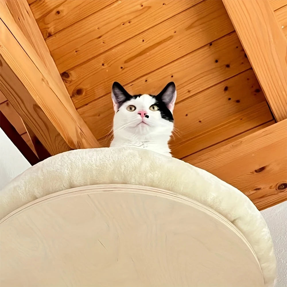Cat Wall Mounted Wooden Climbing Ladder and Cat Hammock(extra) with Scratching Post and Perches.