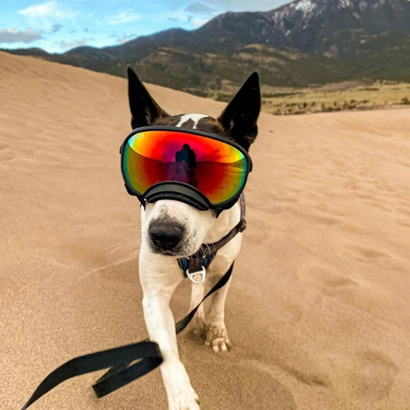 Dog Goggles Anti-UV Sun Glasses,  Eyewear Protection,  Adjustable and Windproof.