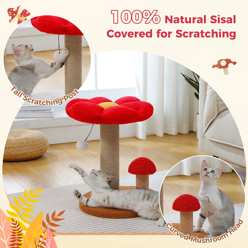 Small Cat Scratching Posts, Toy Ball, Cute Mushroom Cat Scratcher for Indoor Cat Toys.