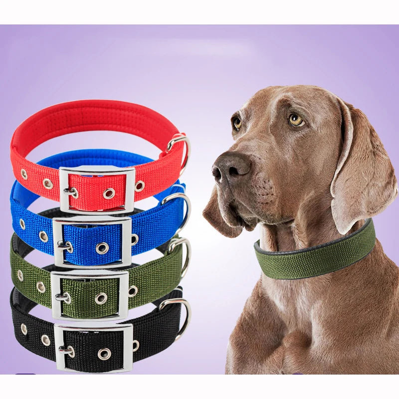 Solid Nylon Dog Collars for Small, Medium and Large Dogs.