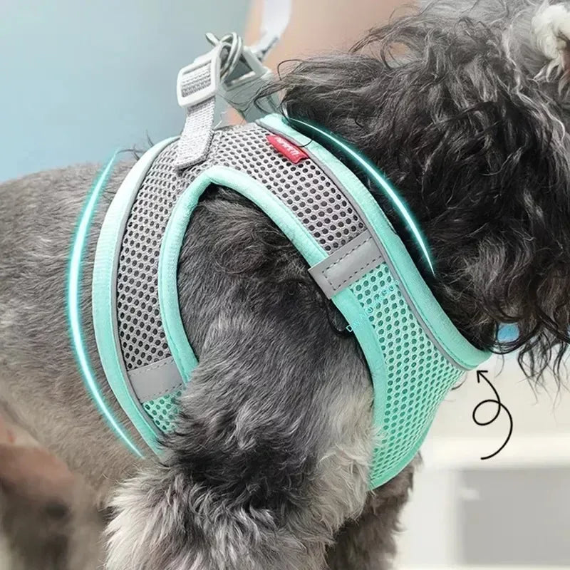 Puppy Collar and Leash Set,  Adjustable for Puppies, Cats and Small Dogs. Comes with Harness Vest.