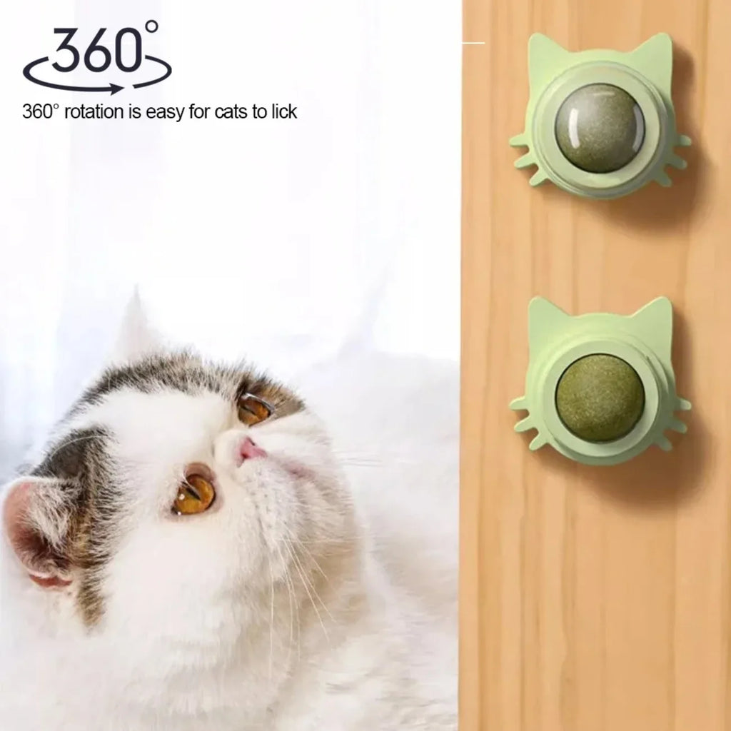 Interactive Catnip Lollipop for Cats – Natural Dental Care Treat on a Stick, Wall-Mountable for Play & Digestive Support.
