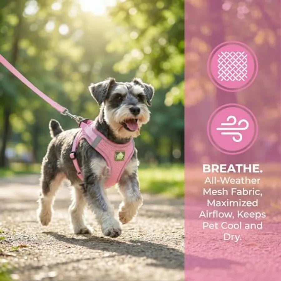 Dog Harness Vest with Leash Set.