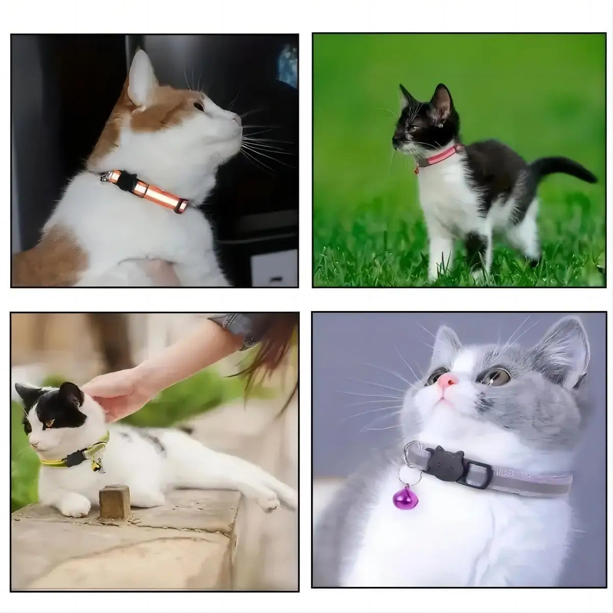 2 Piece Cat and Dog Footprints Really Reflective Pet Collar and Strip Reflective Pet Collar,  (Black only).
