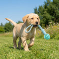 Cotton Rope & Rubber Chew Ball, Treat Dispenser and Teether.