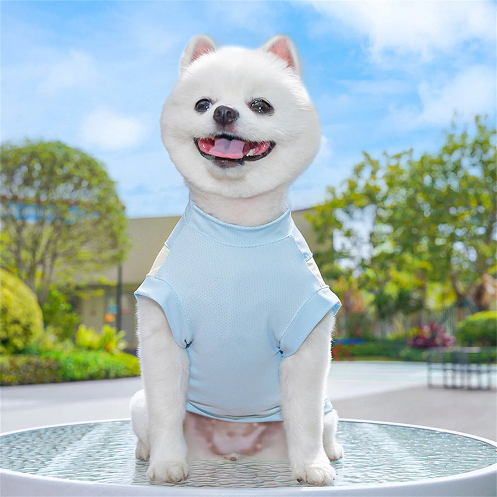 Breathable Cooling Dog T-Shirt with Ice Silk Material for Cats and Puppies - Lightweight and Soft Pet Tank Tops in Contrast.