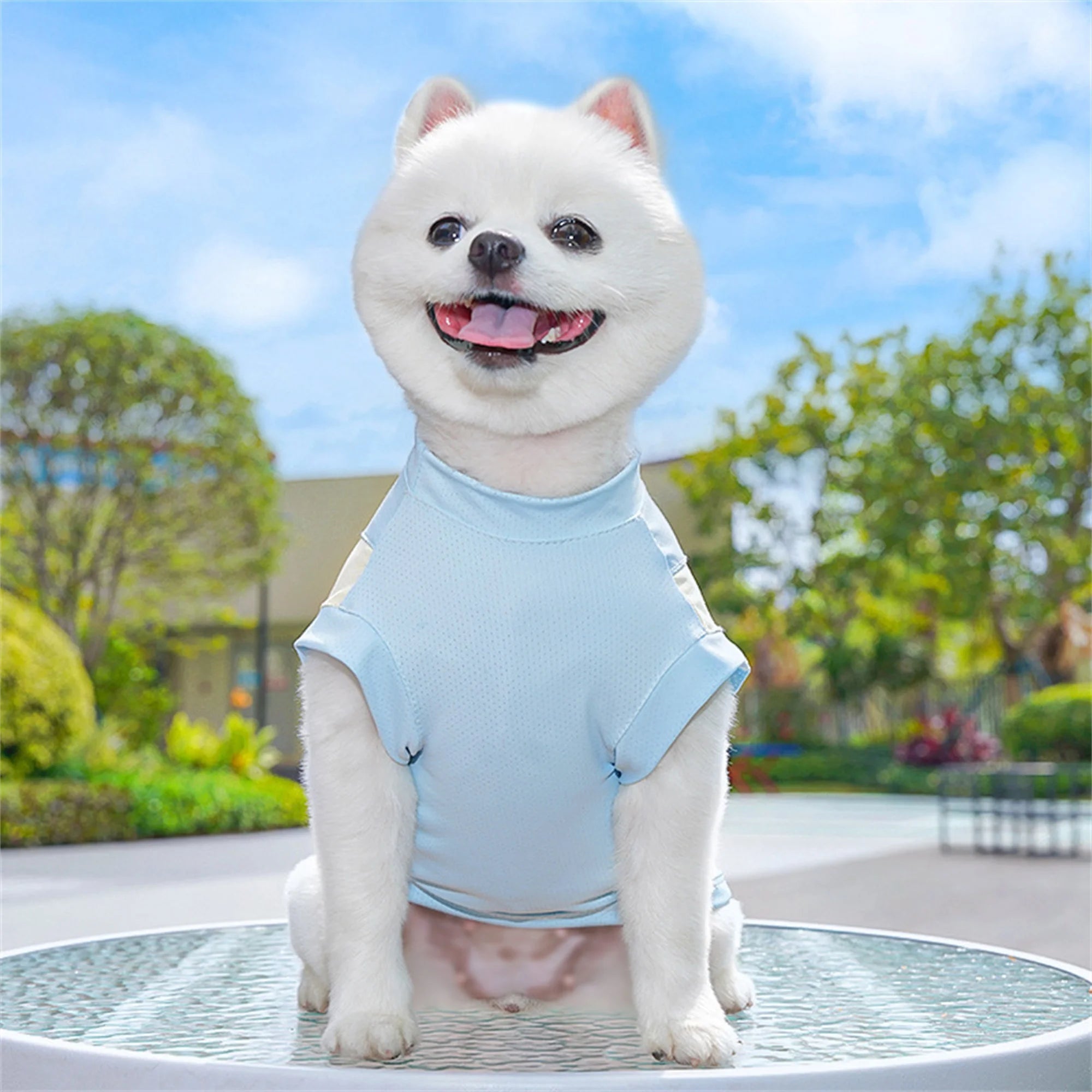 Breathable Cooling Dog T-Shirt with Ice Silk Material for Cats and Puppies - Lightweight and Soft Pet Tank Tops in Contrast.
