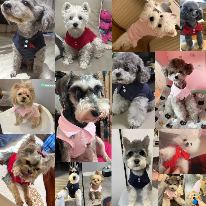 High Quality Solid Polo Shirts for Dogs, Cats and Puppies.