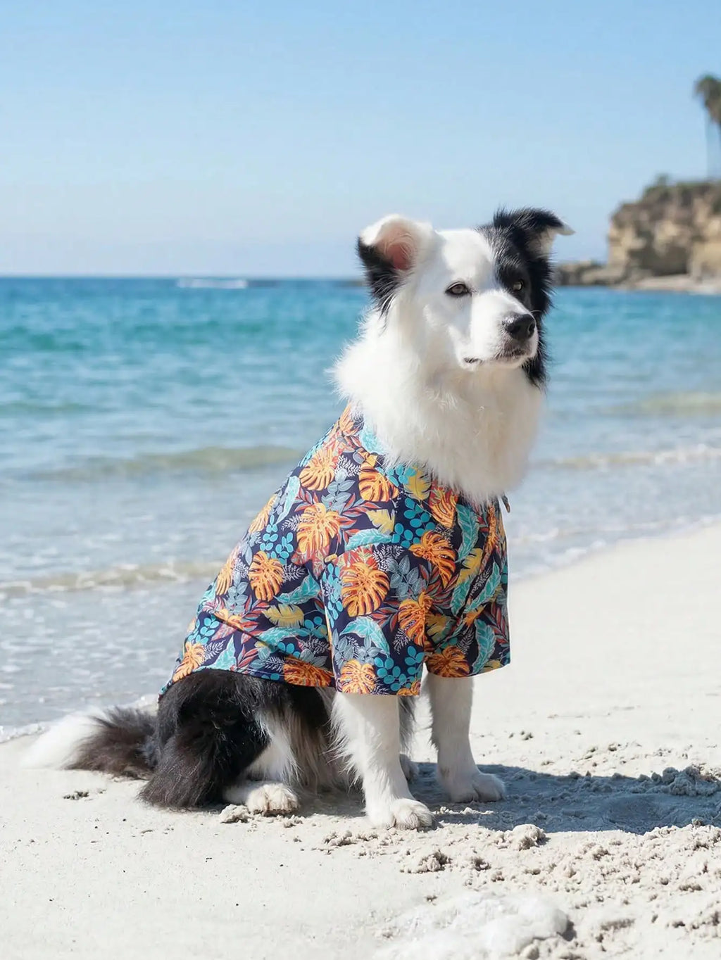 Dog Leisure Shirts For Summer - Breathable and Lightweight.  Summer Shirts For Small, Medium and Large Dogs.