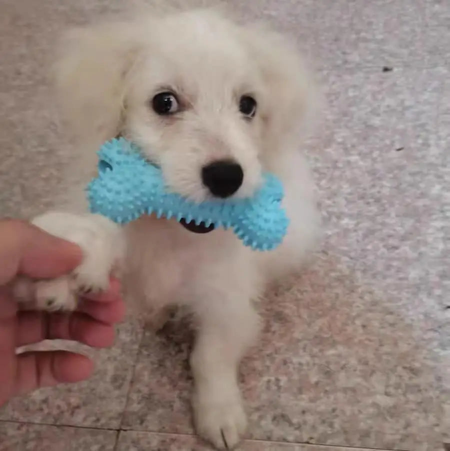 Durable Squeaky Dog Chew Toys - TPR Non-Toxic Puppy Teething Bones, Various Shapes to Satisfy Chewing Instinct.